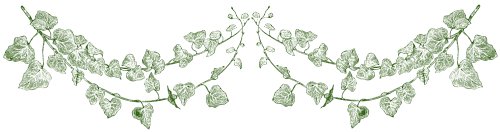 Illustration decorative de lierre, separateur graphique