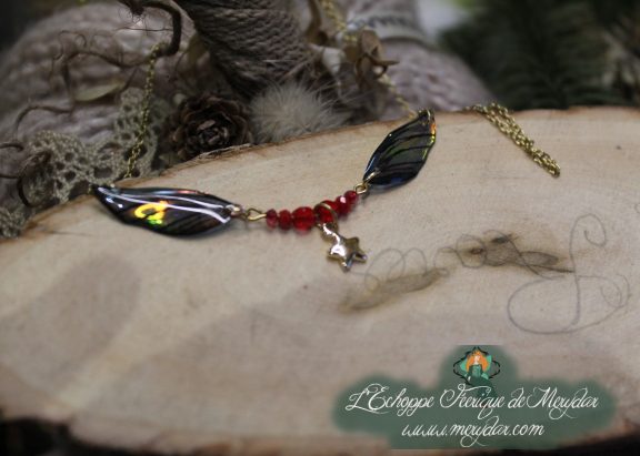 Poussière d’Étoiles